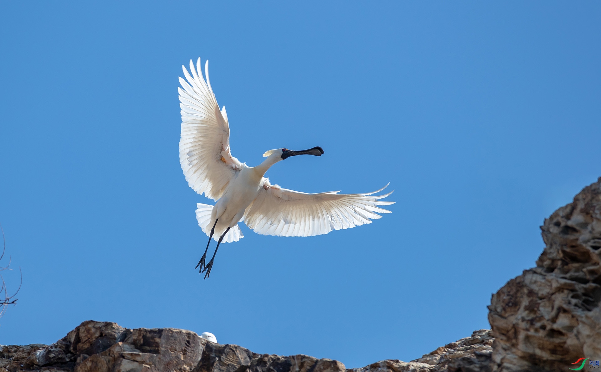 1DX_5410 ����.jpg