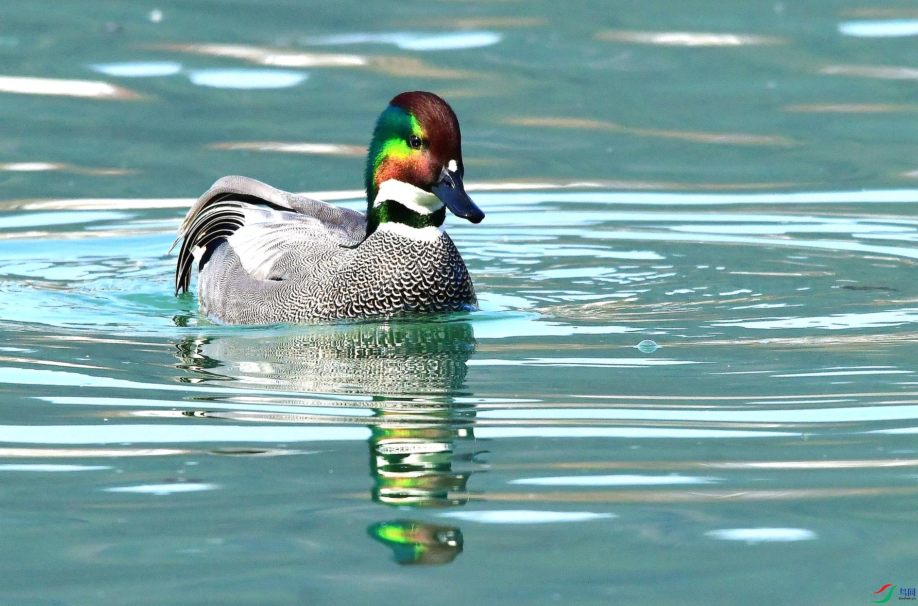 DSC_3806_����.jpg