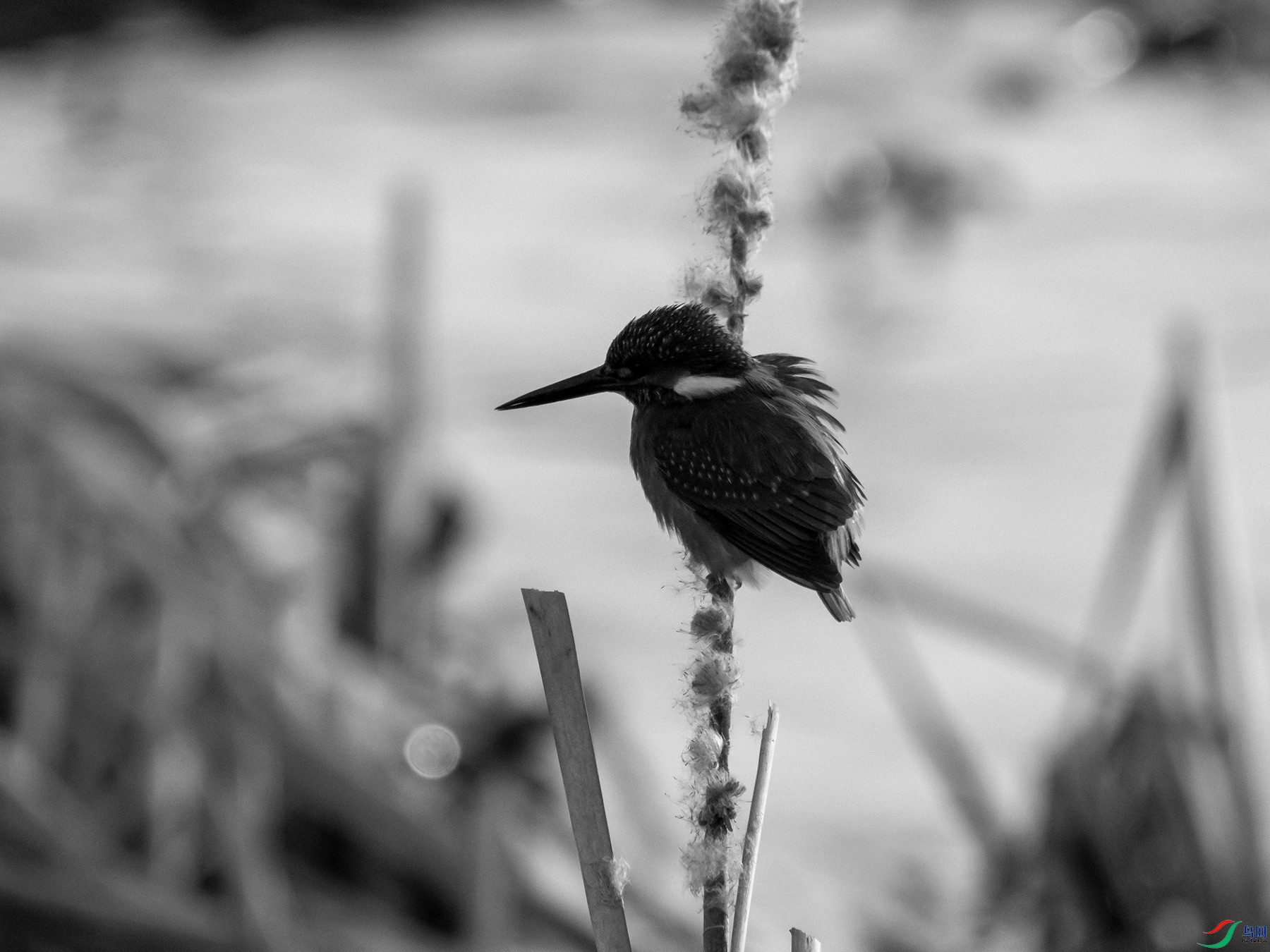 �����������Ϻ������Ĵ���