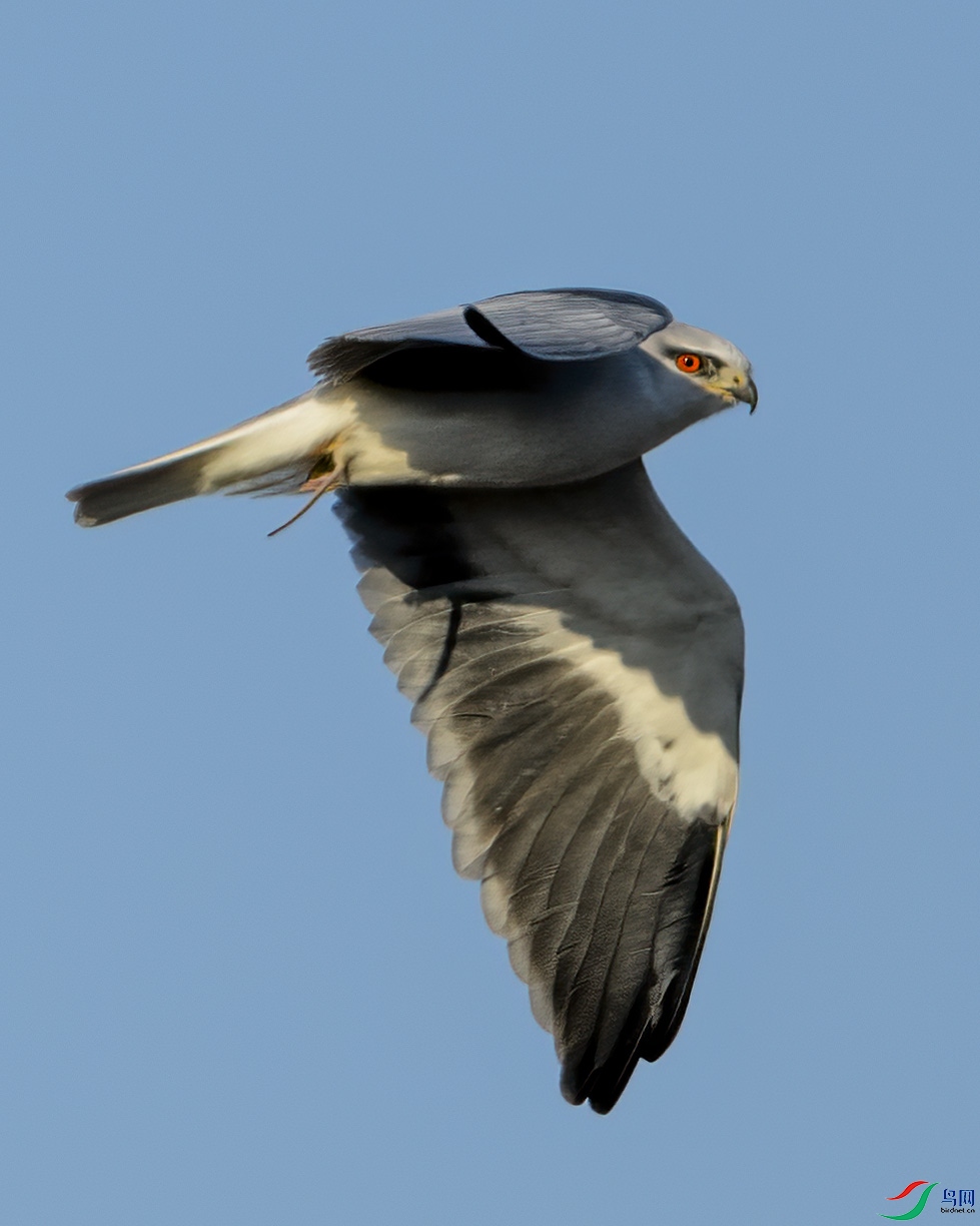 _W669825 ����.jpg