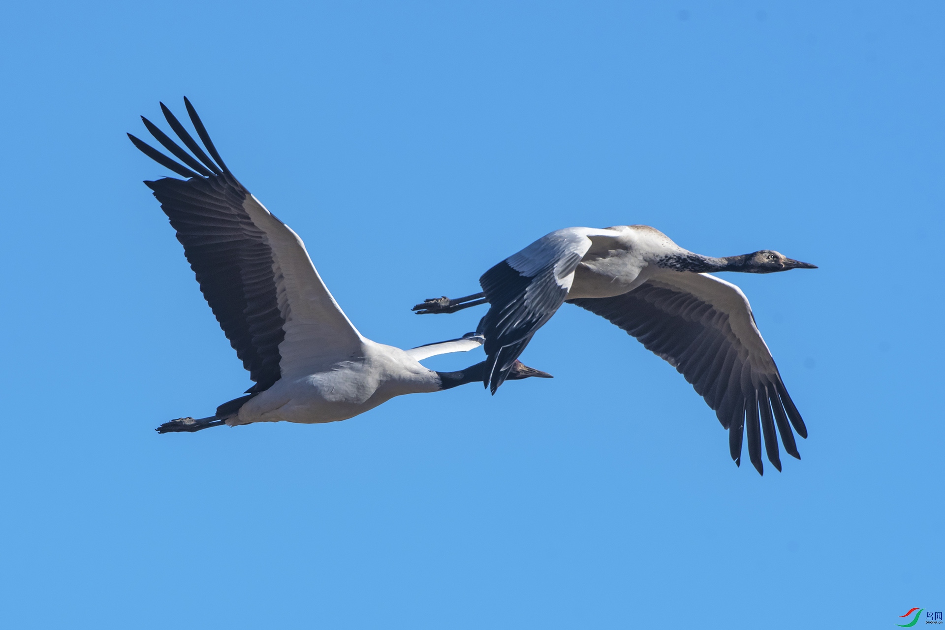DSC_0018.jpg