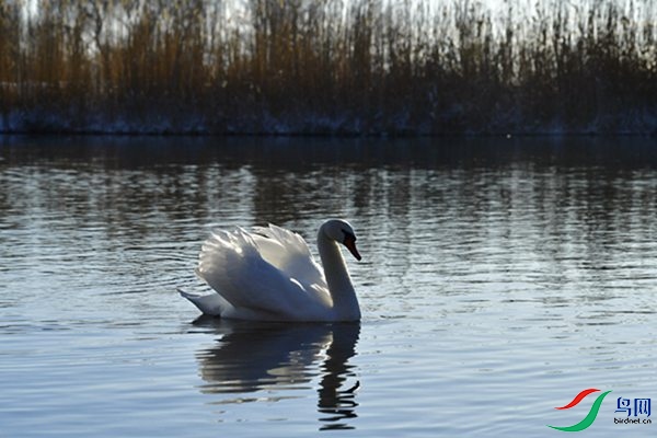 File0000079326.jpg