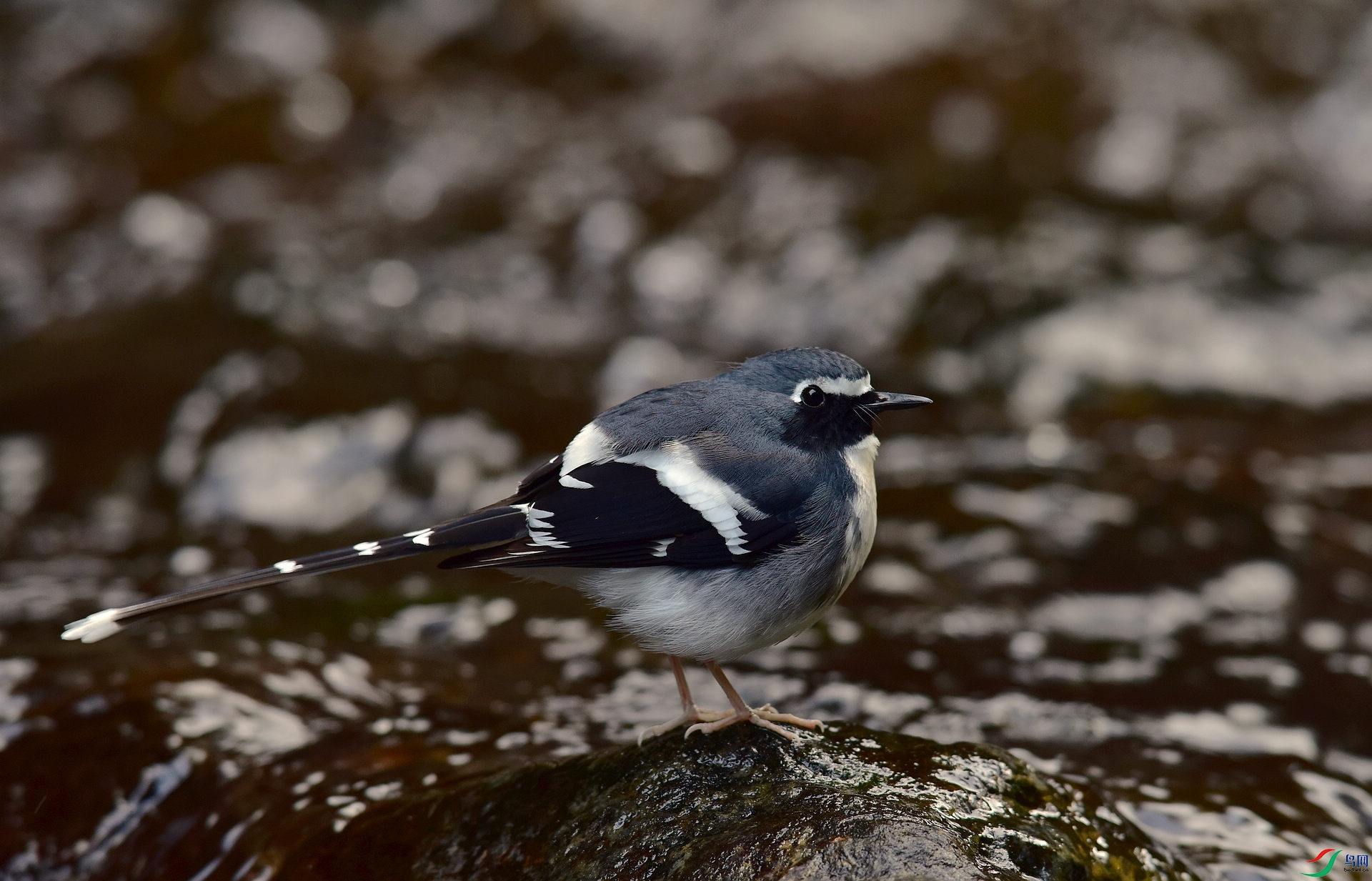 D8I_0852.jpg