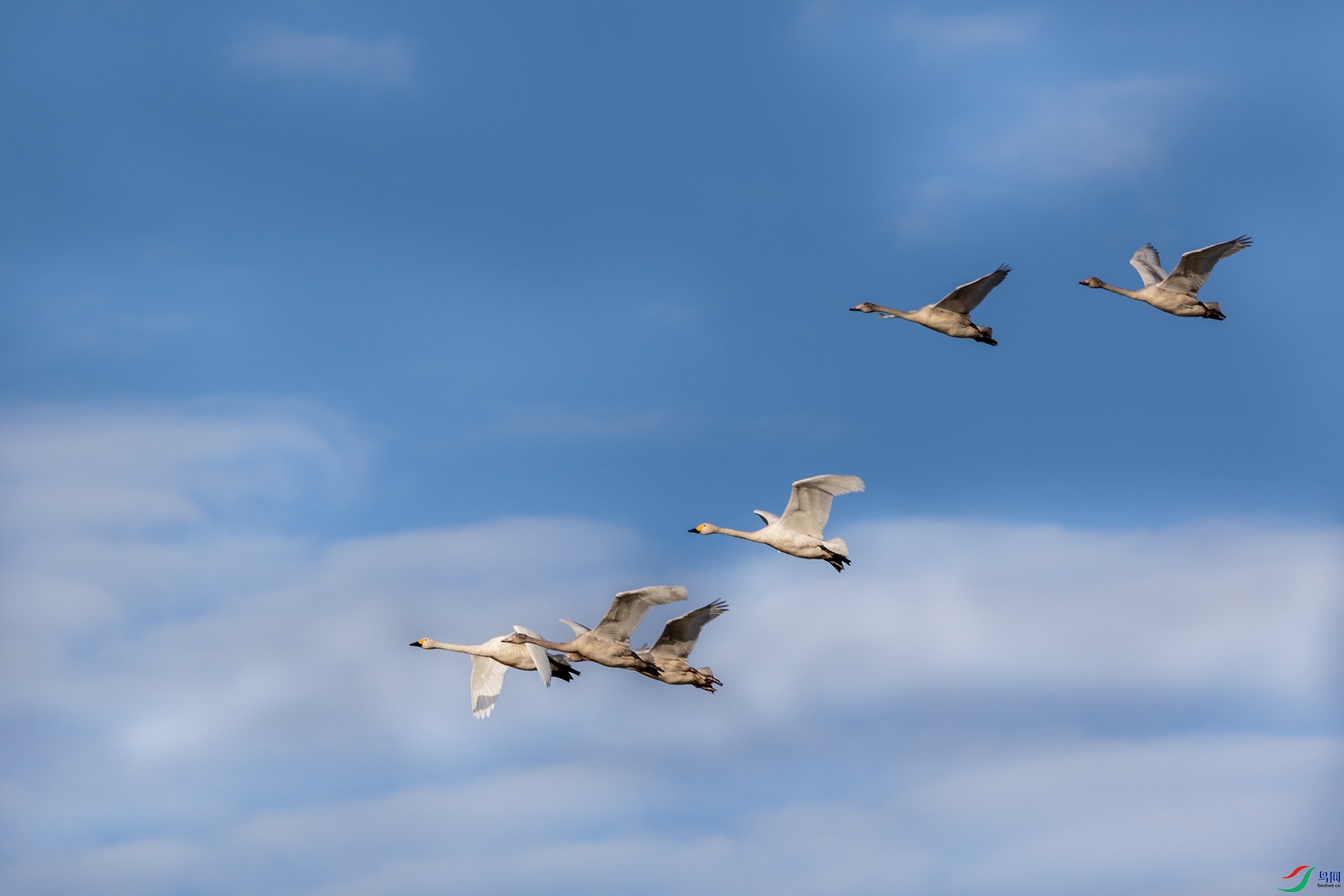 DF7A7656_20220107-1.jpg