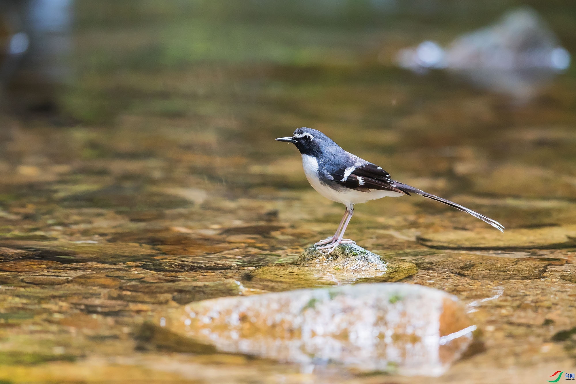 ɽɽɽ  ��ʦ�����ڹ㶫ʡ�ع�����Դ����������.jpg