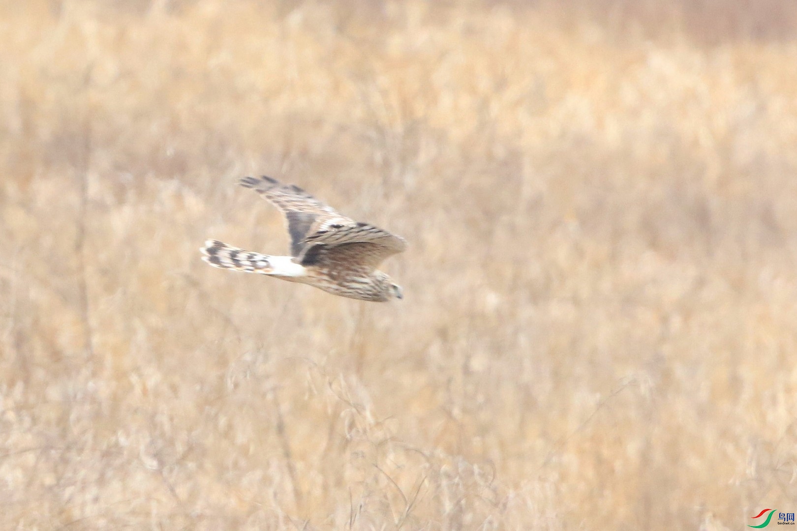 ʲô���� 0F4A9663.jpg