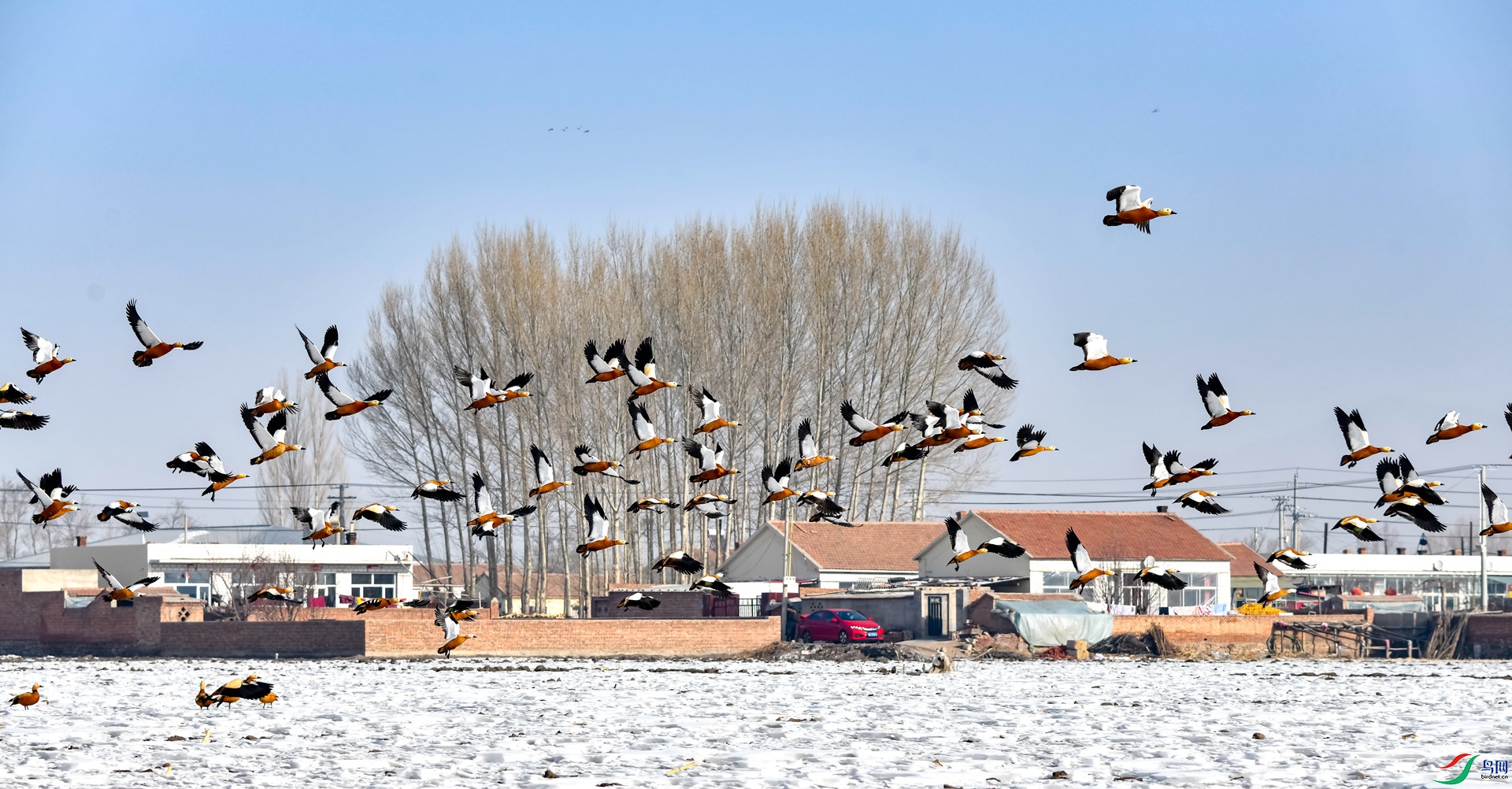 С����ǰ�����