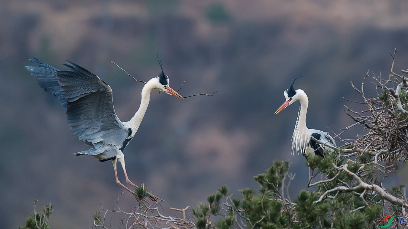 DSC_5016 - ����.jpg