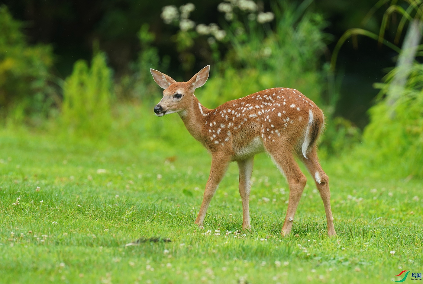 DSC09765----.jpg