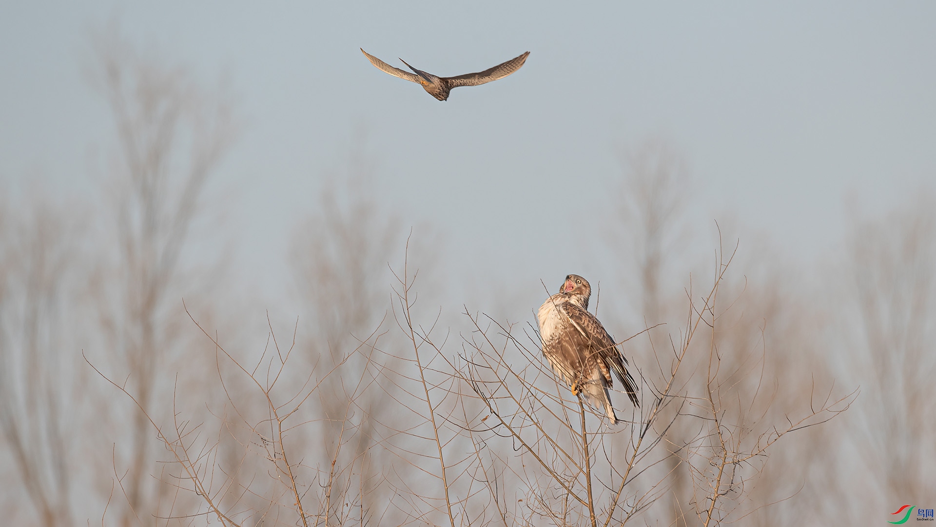 1DX_9649 ���� 2.jpg