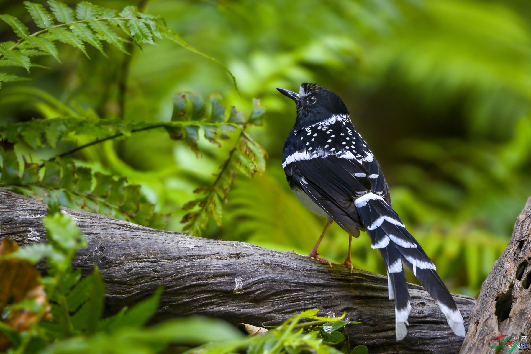 ������������  ��ʦ����������ʡ�º���徰����������ӯ����.jpg