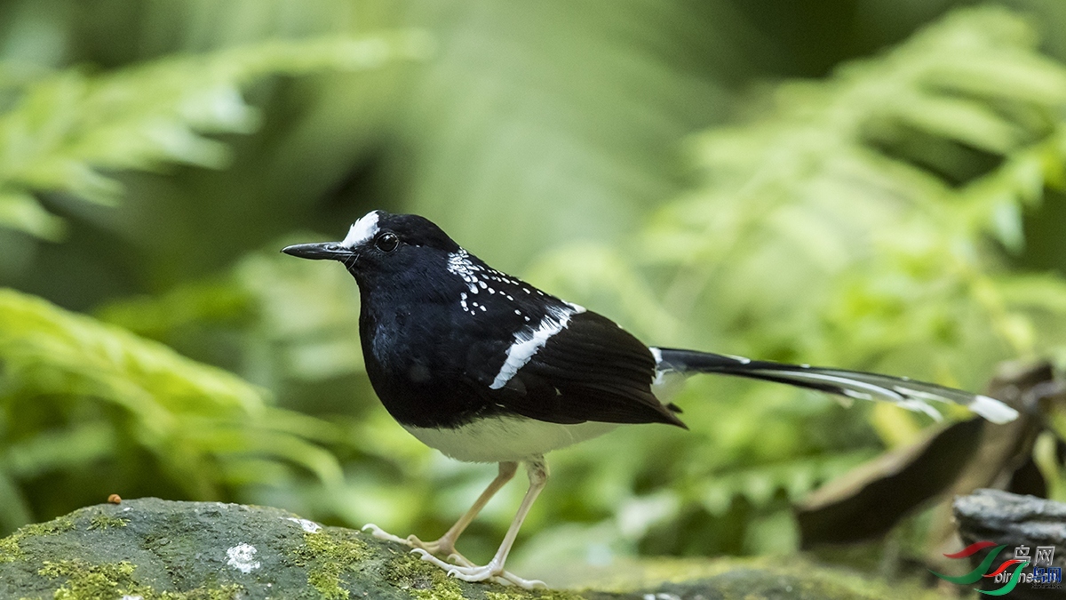 ����  ��ʦ����������ʡ�º���徰���������� ӯ����.jpg