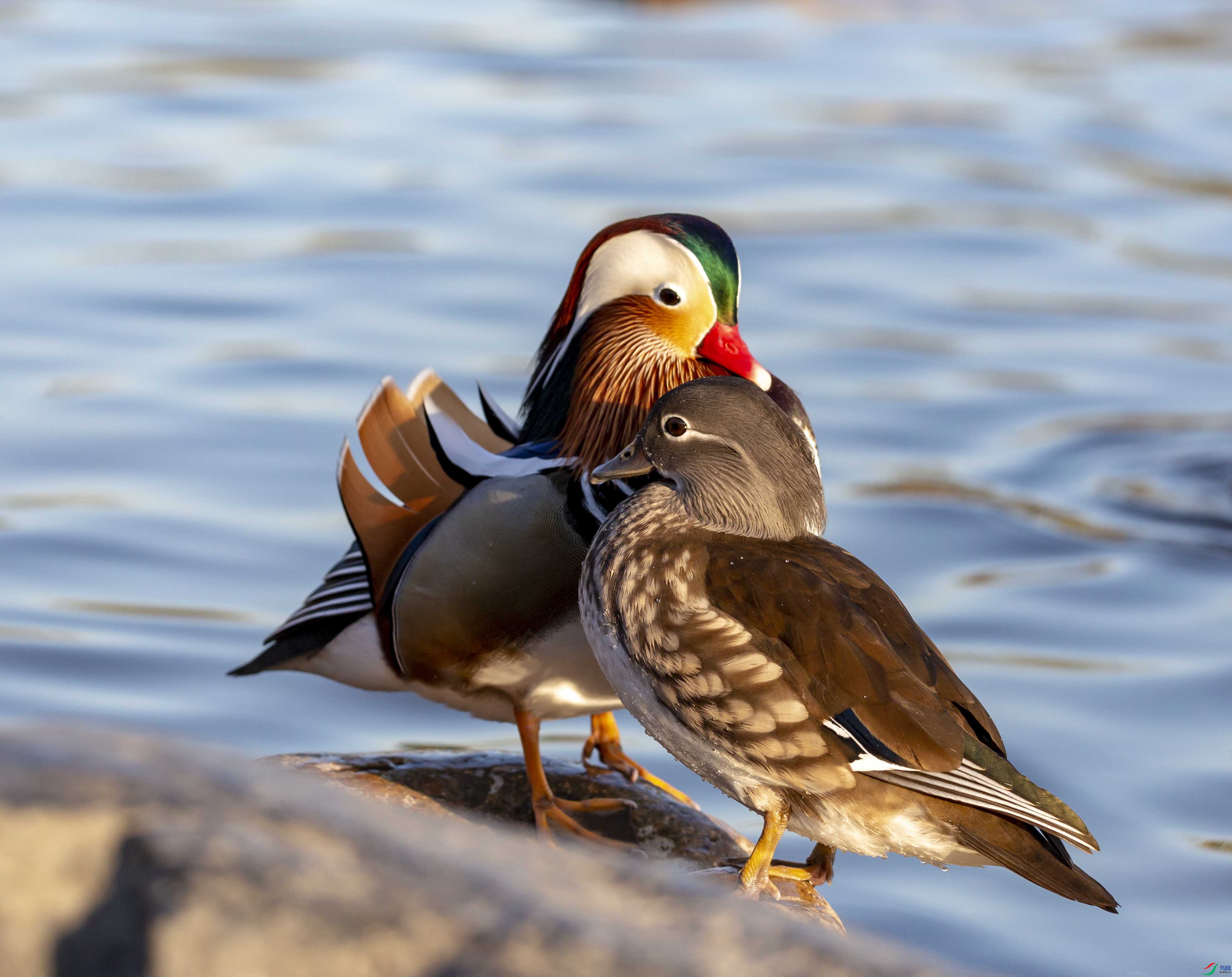 NW2A1063���� (2).jpg