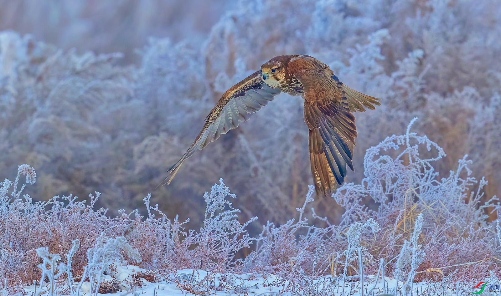 AC0I9521 ���� 2.jpg