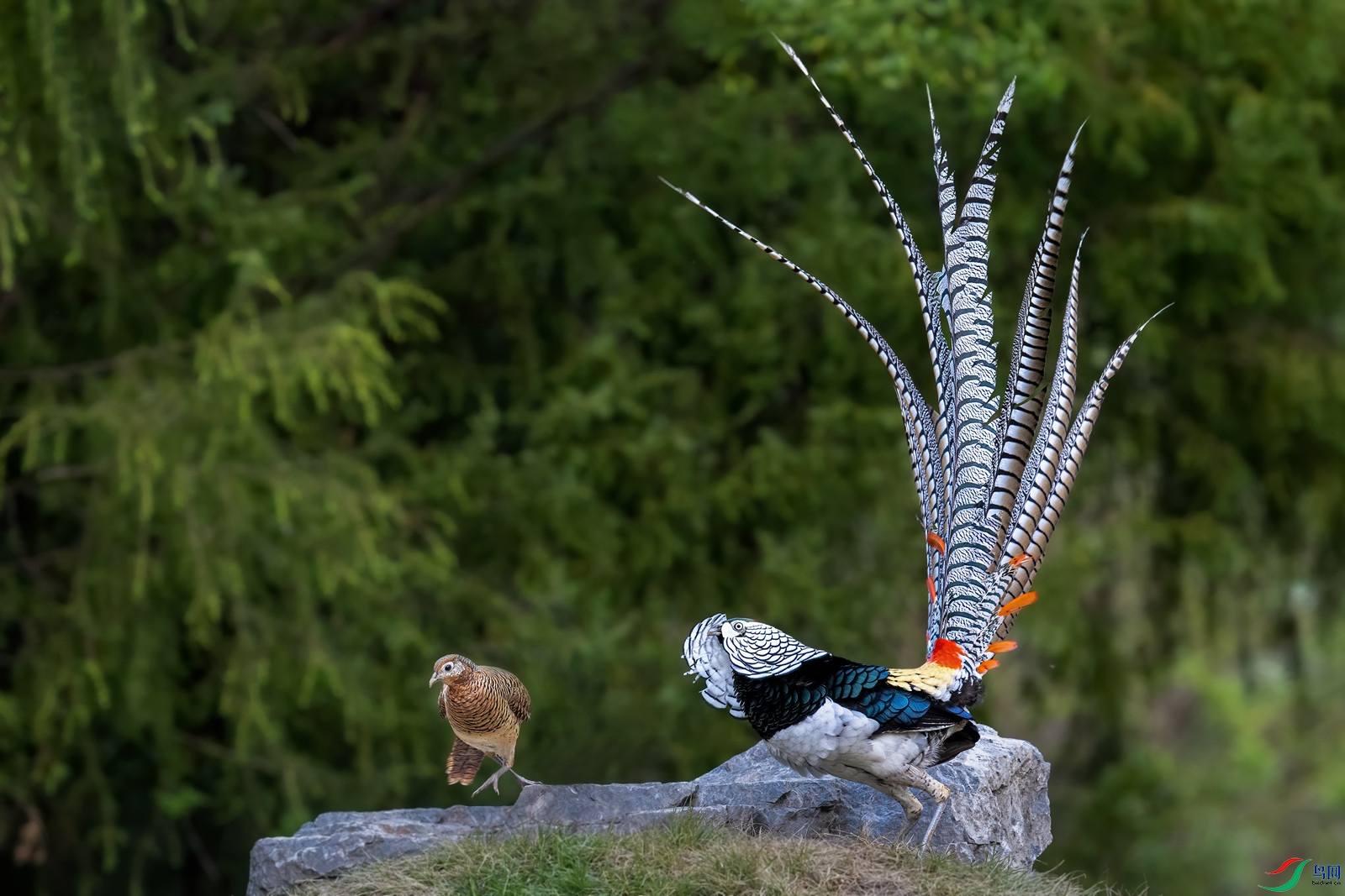 DSC_8599 ����_����.jpg