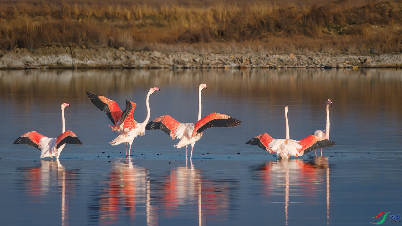 6M0A4464 ����.jpg