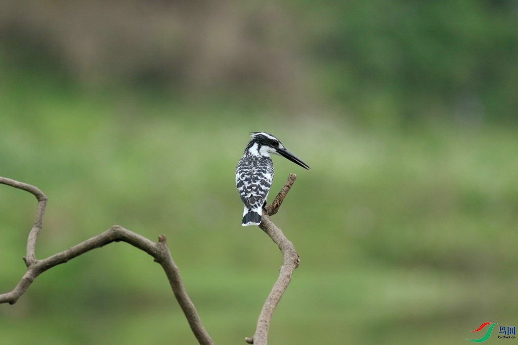 367A3685 (2)_����.jpg