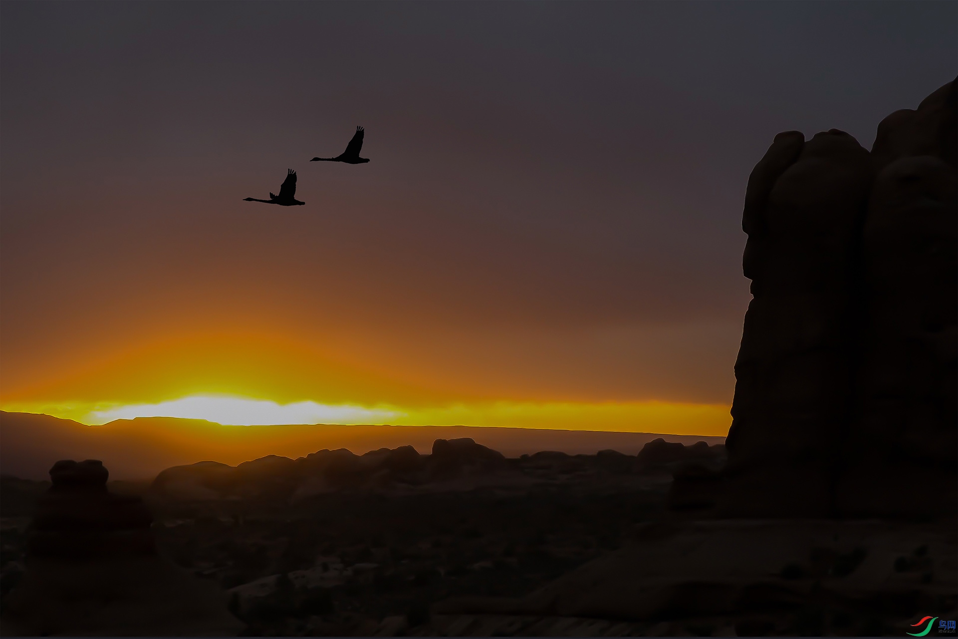 ���� 3840p500k.jpg