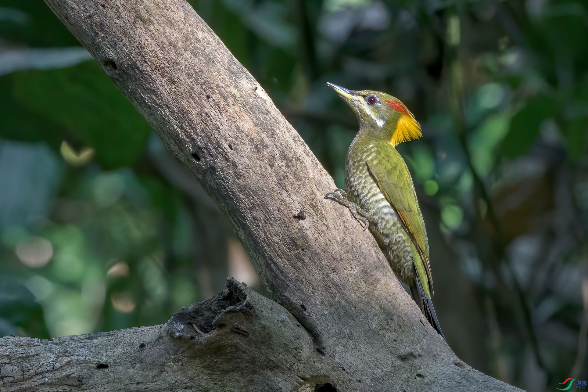 DSC_6148-1.jpg