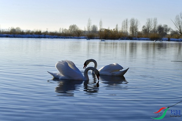 File0000079341.jpg