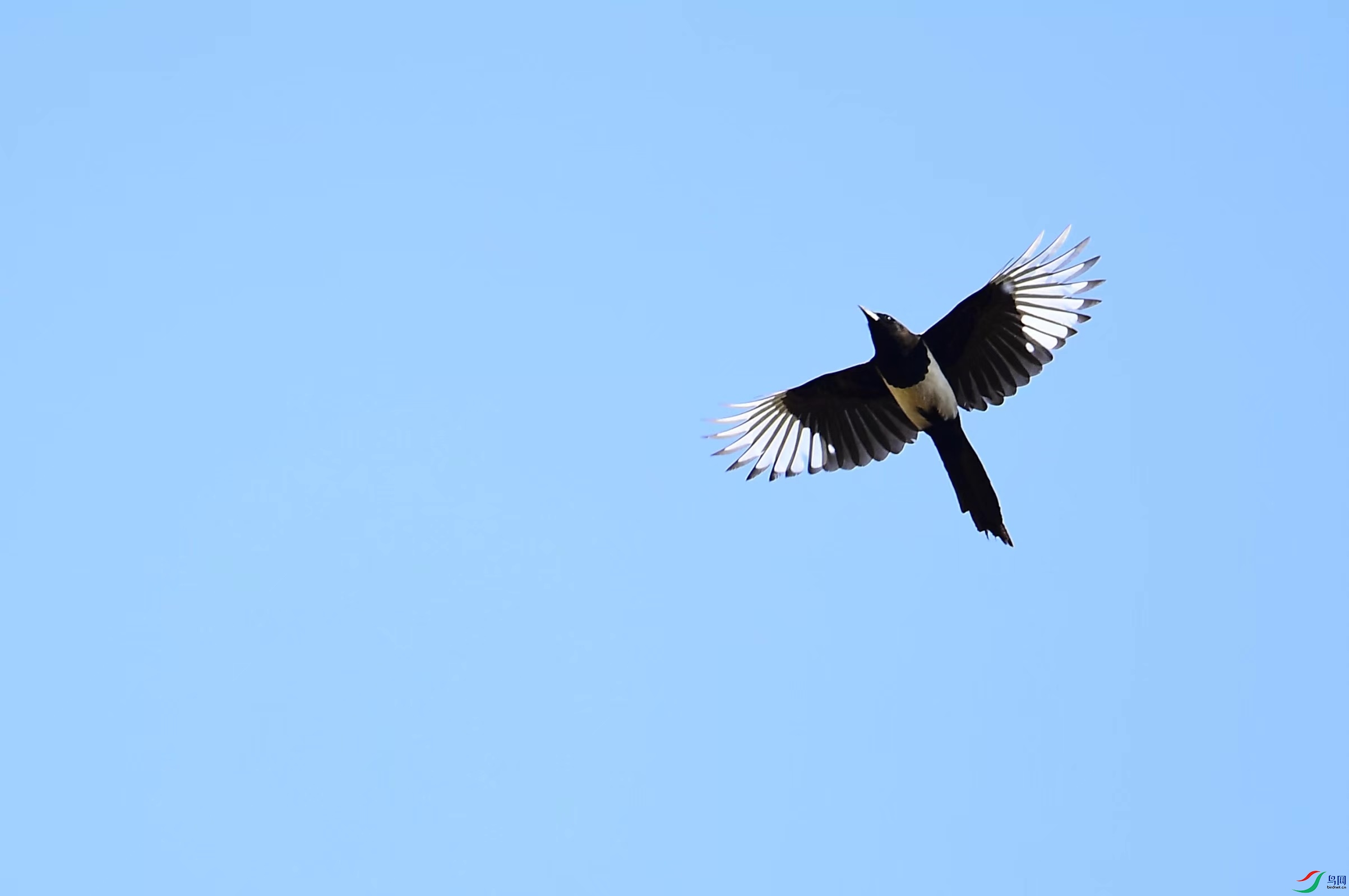 C79C1113-63F6-46D2-AB9F-A5F8C5DD6344.jpeg