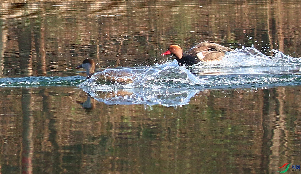 IMG_8724.jpg