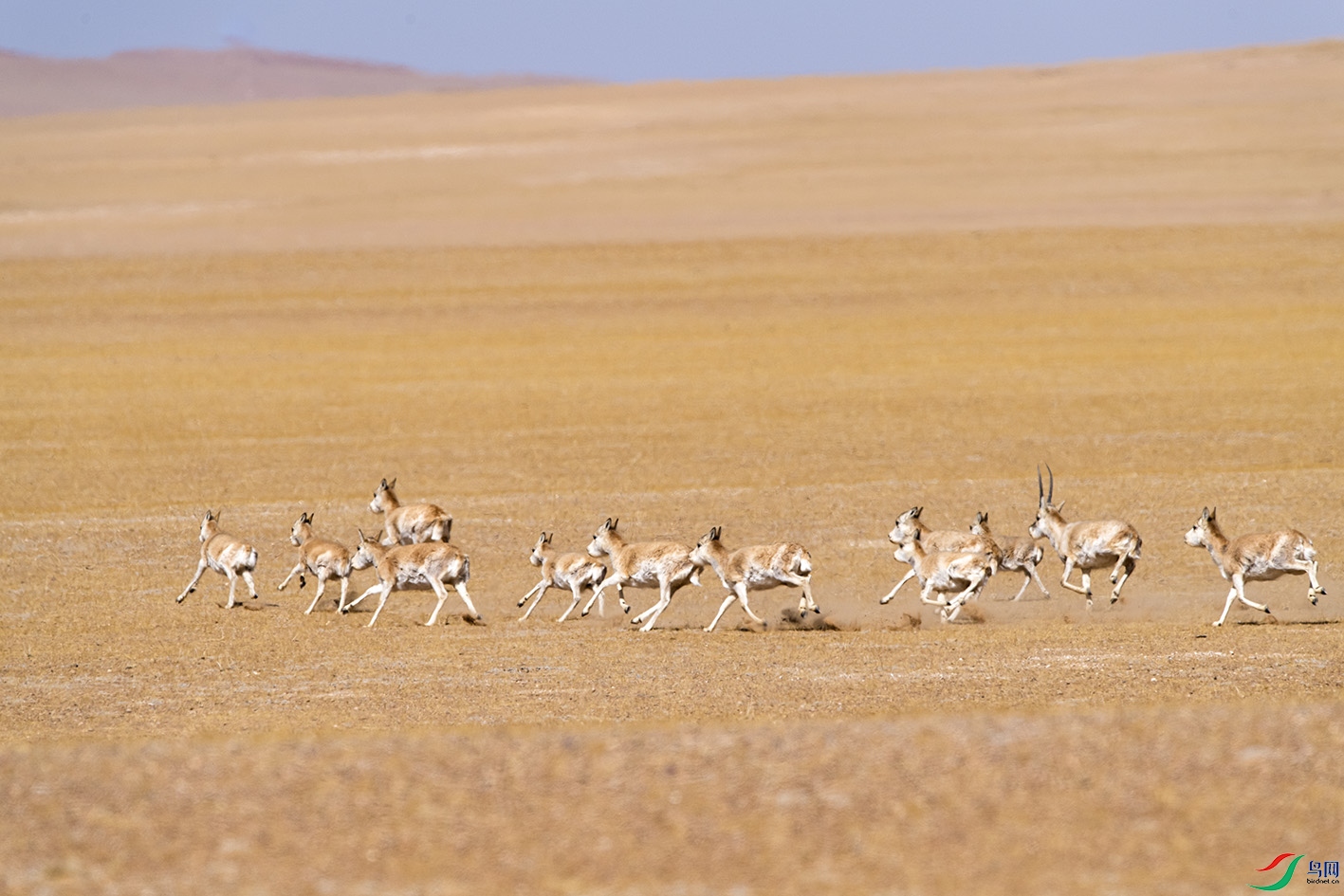 _DSC9293.jpg