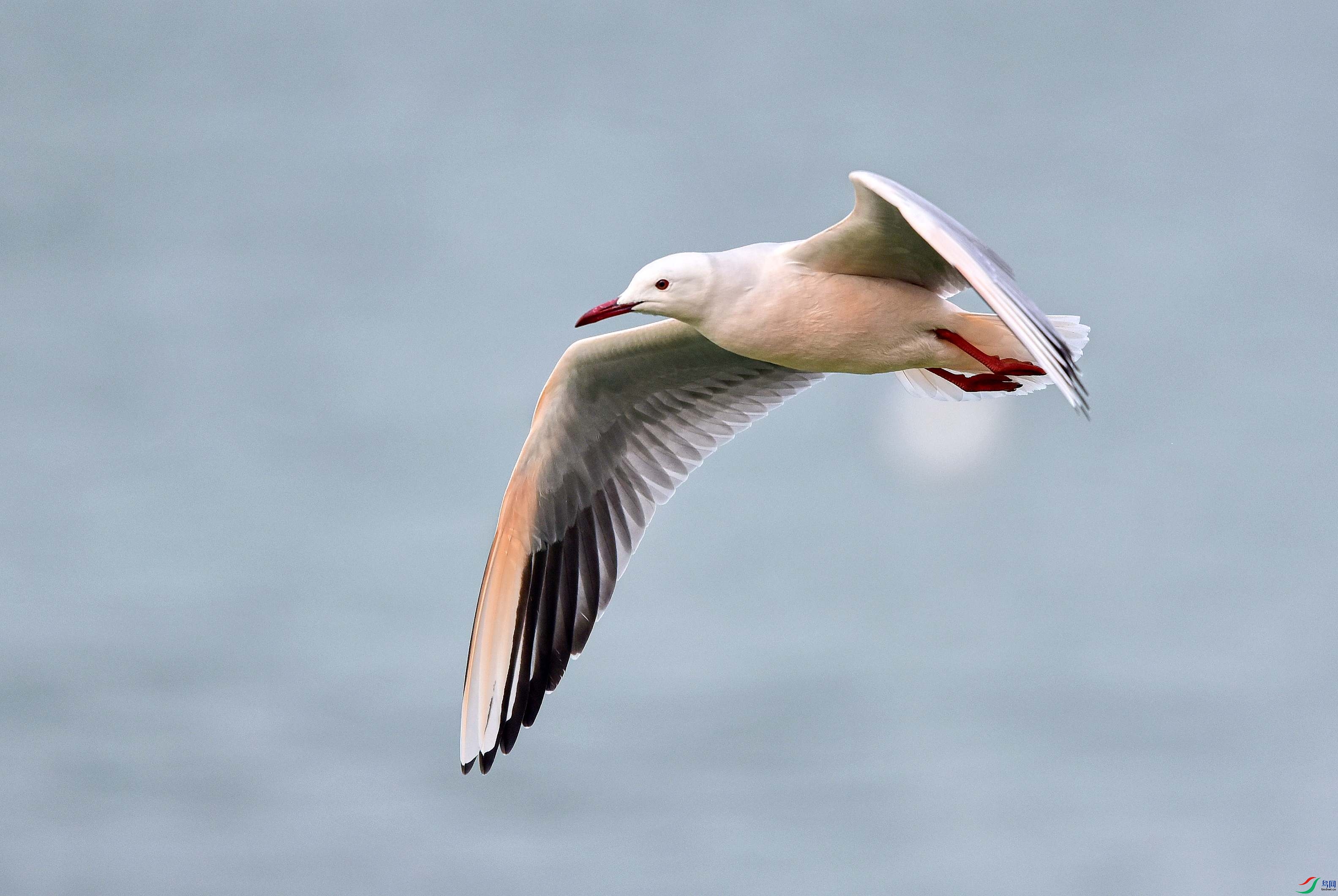 DSC_0075_conew1.jpg