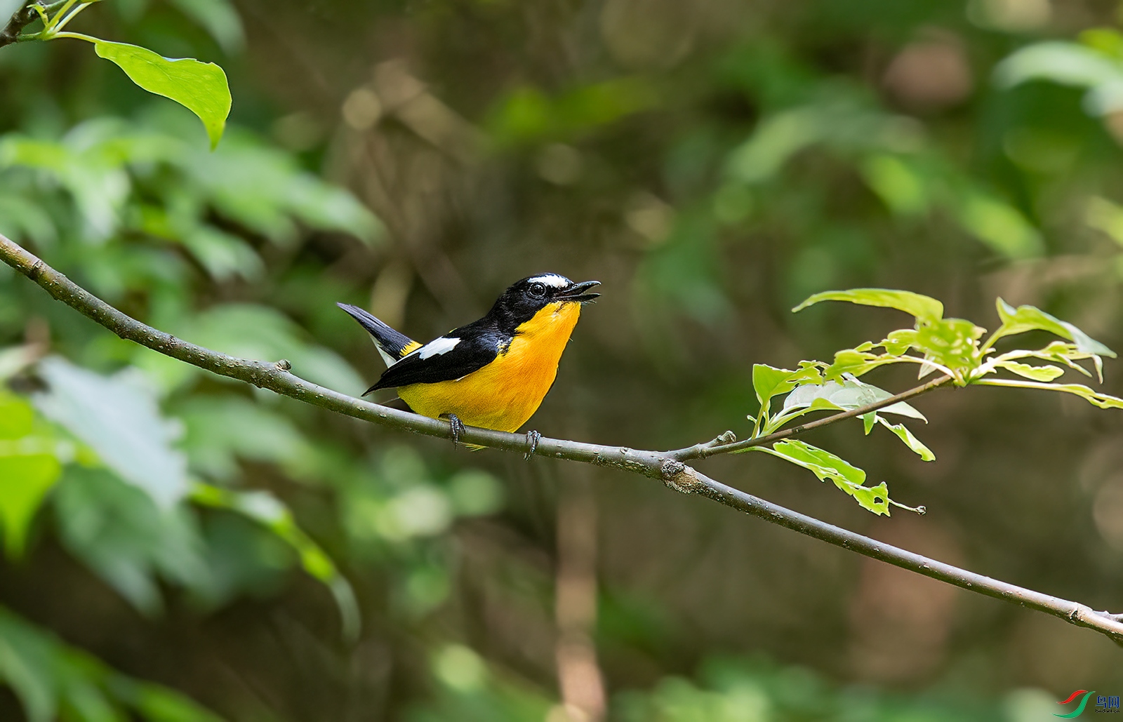 DSC_9446.jpg