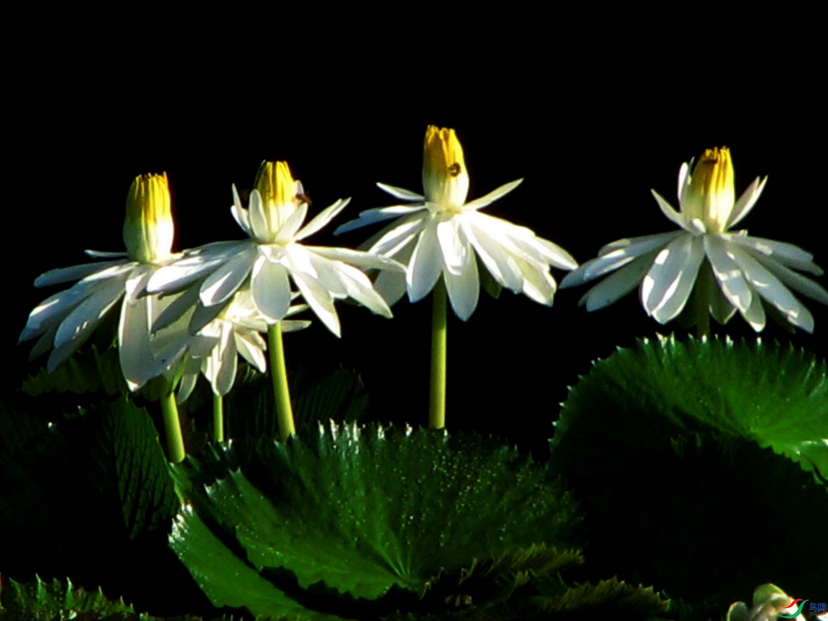 IMG_8546.jpg