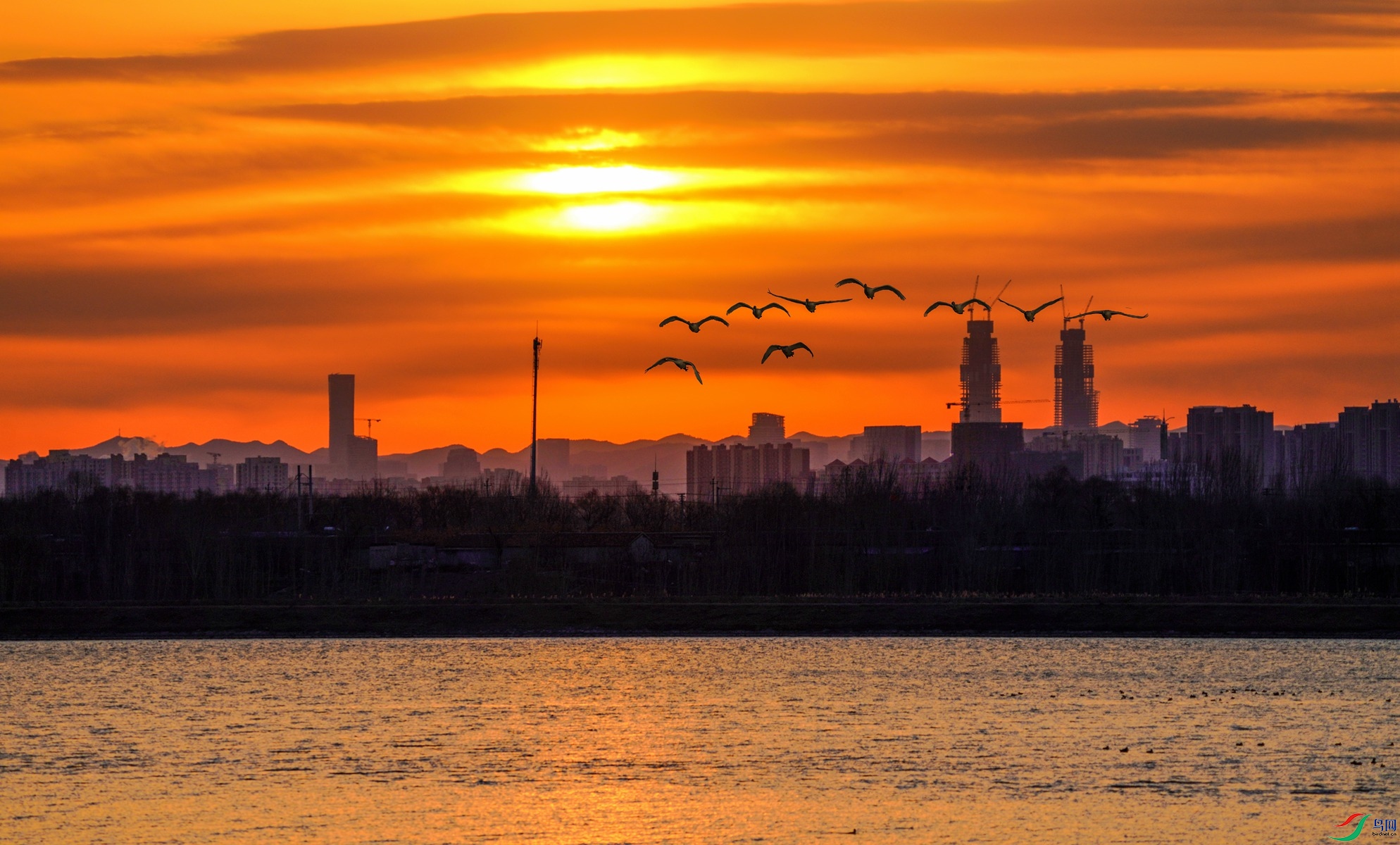 2 DSC02938_����.jpg