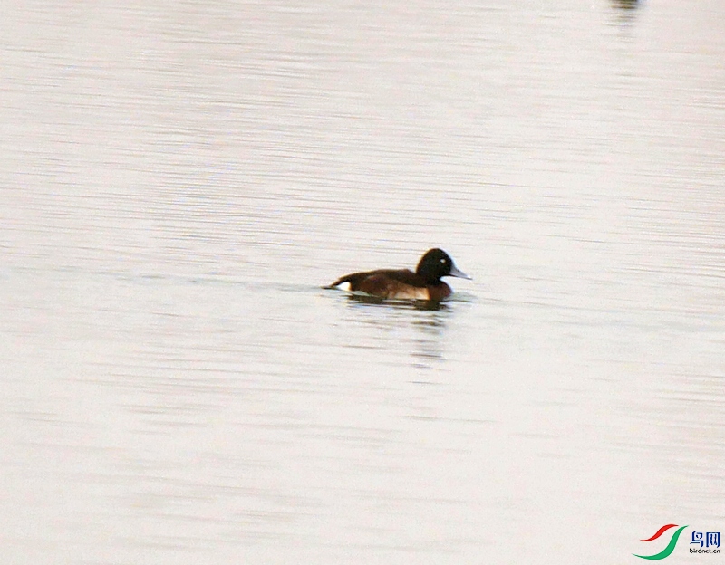 P7880800 - ���� - ����.JPG