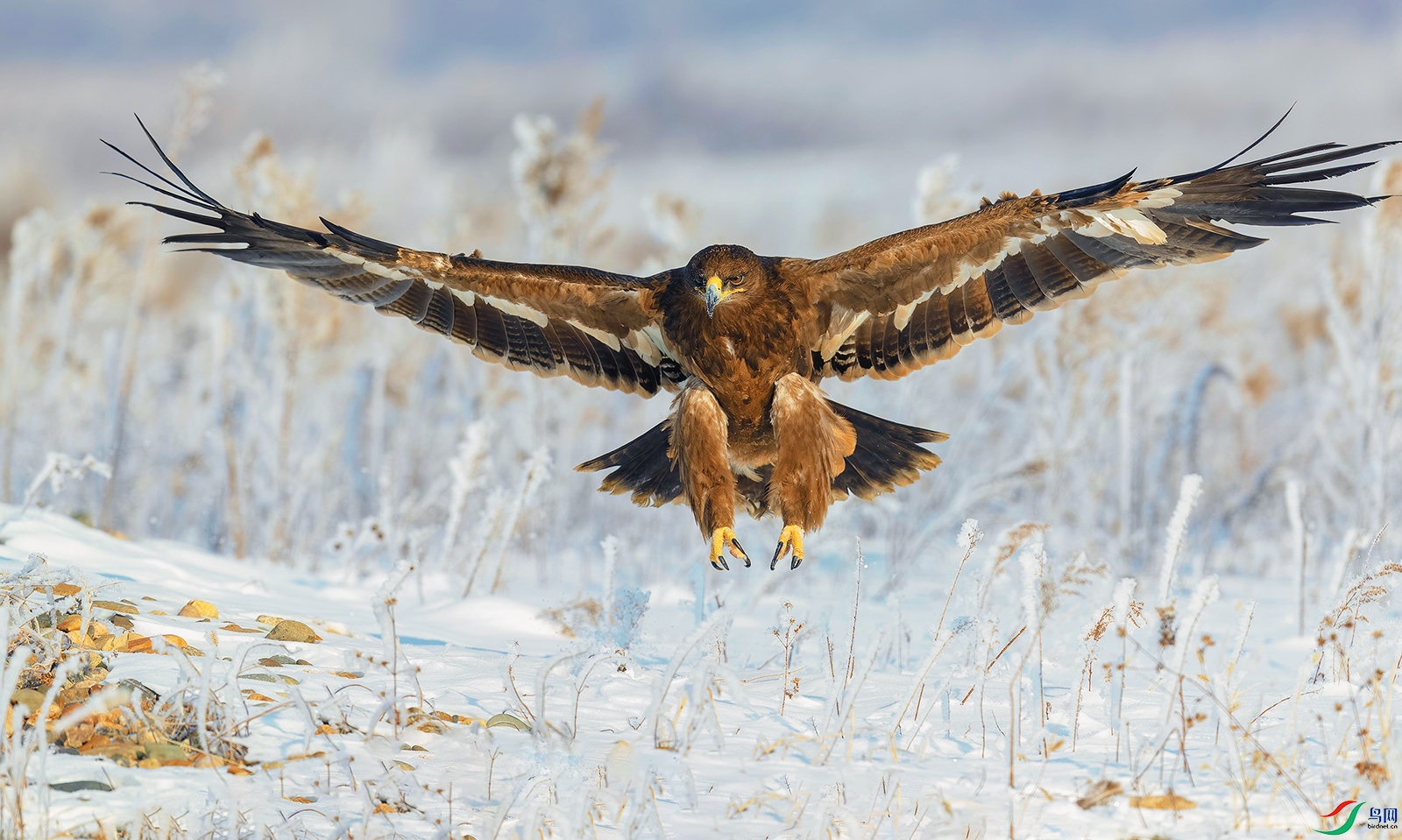 AC0I0706 ����.jpg