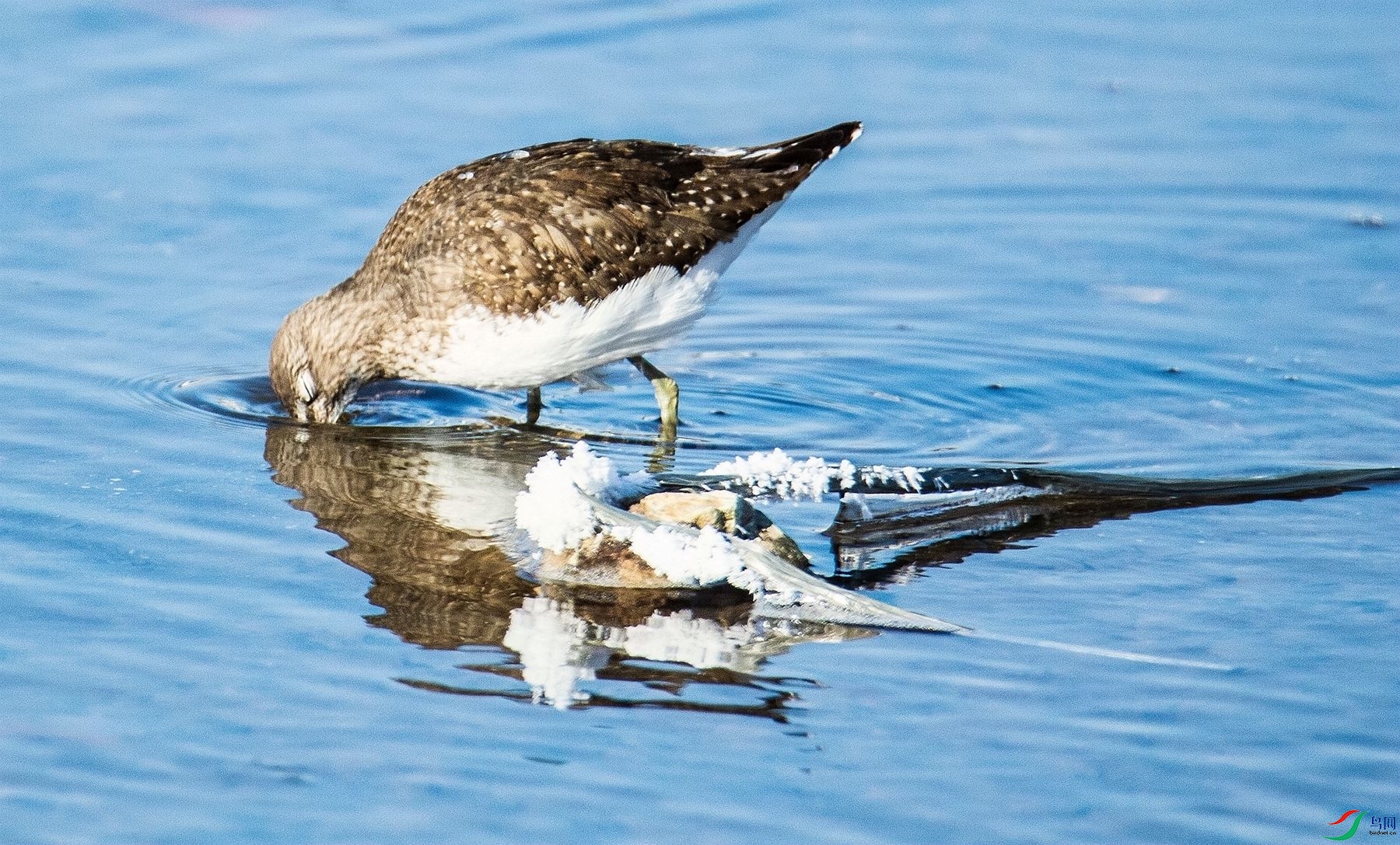 �澳���� (2).jpg