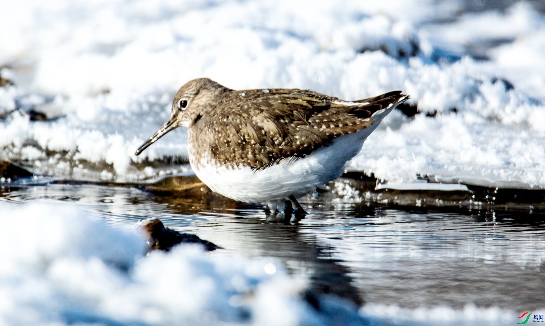 �澳���� (1).jpg