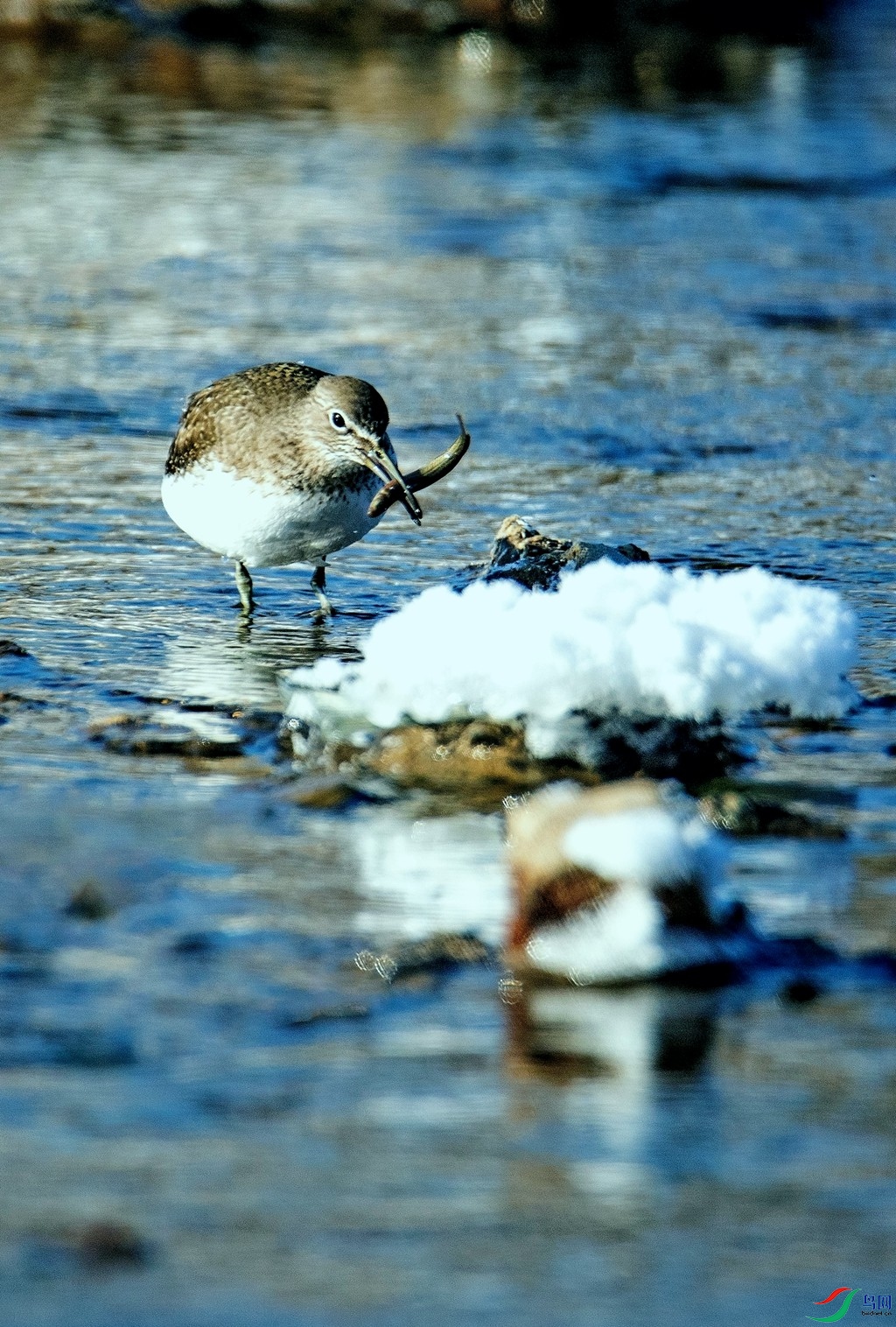 �澳���� (3).jpg