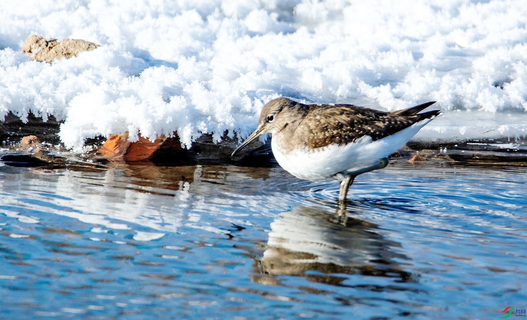 �澳���� (4).jpg