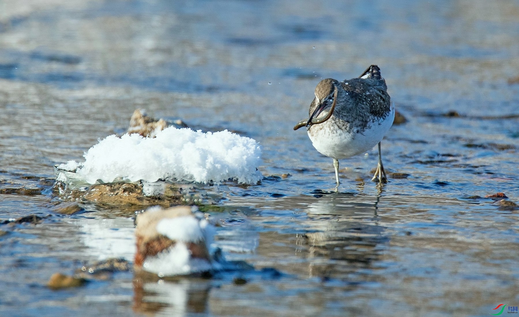 �澳���� (5).jpg