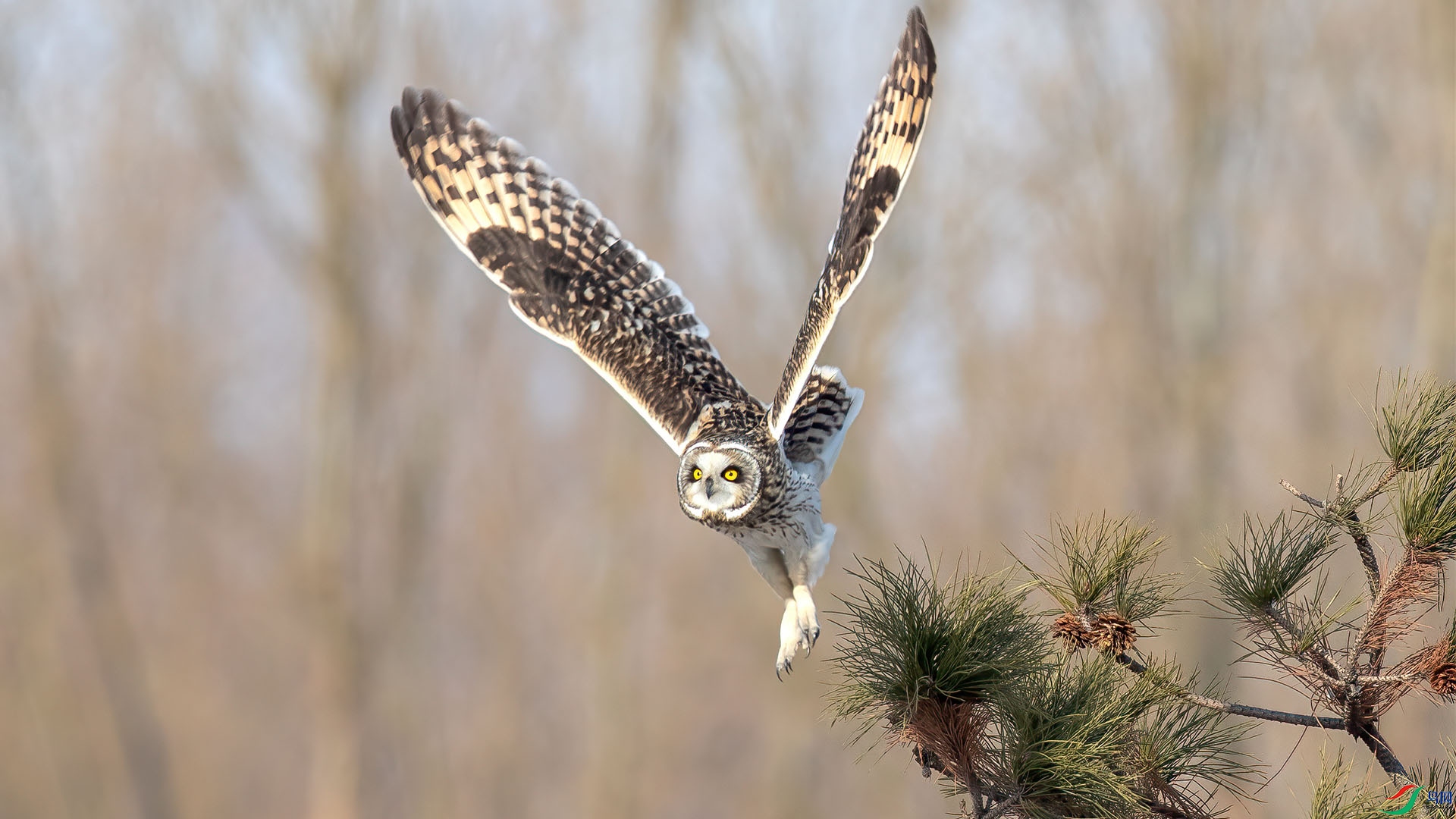 1DX_7868 ����.jpg