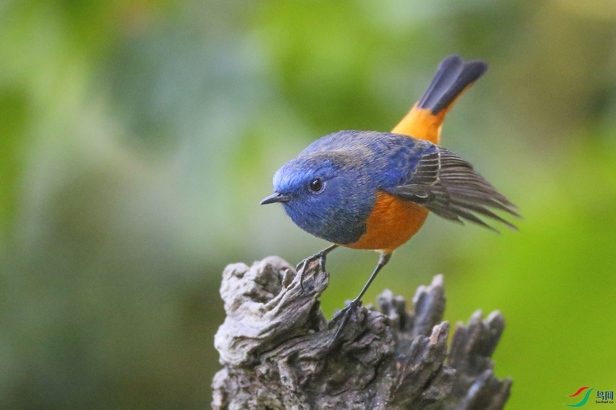 �����β� (2).jpg