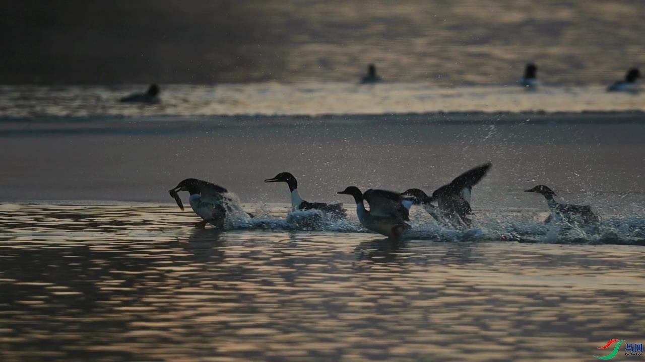 2022-01-04 22-45-36.jpg