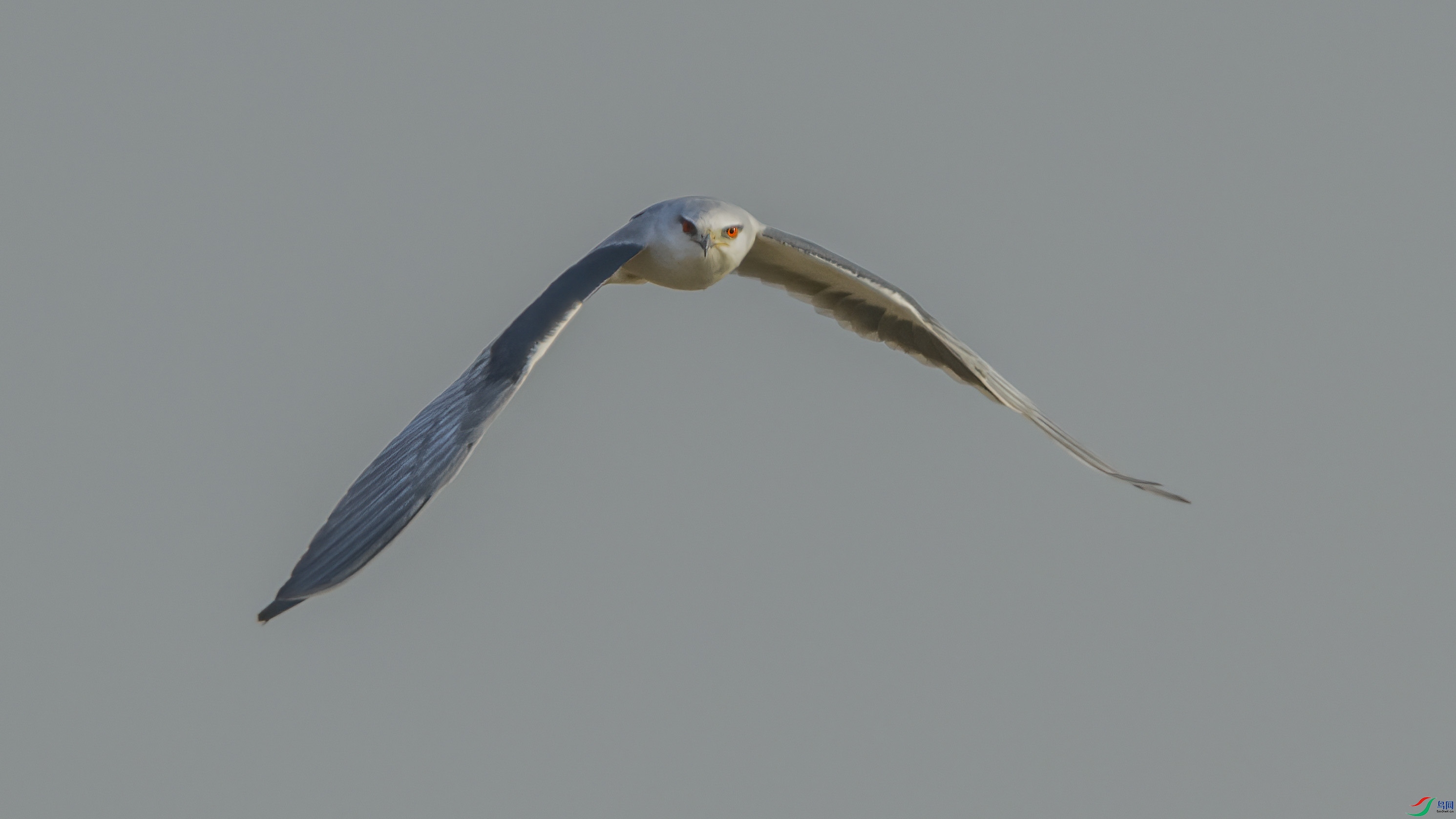 _88W9004 ����.jpg