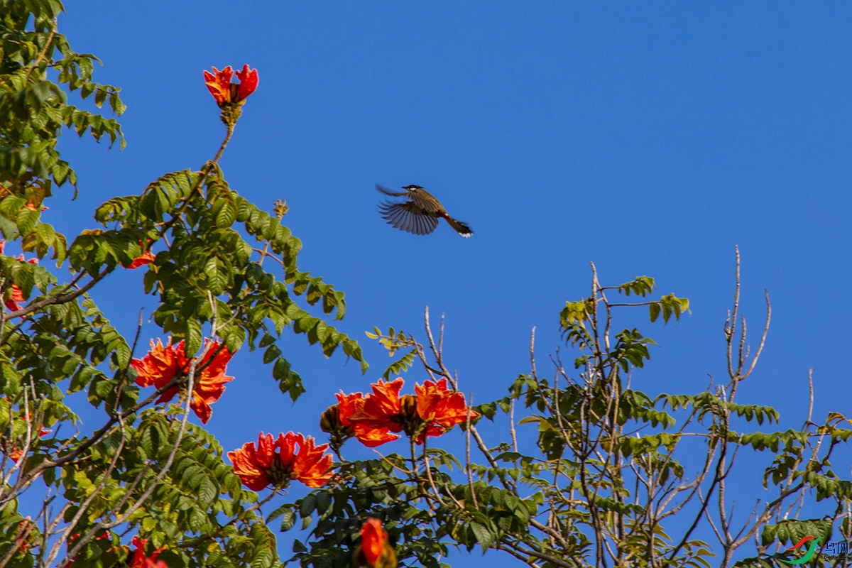 220108szzx_0133.jpg