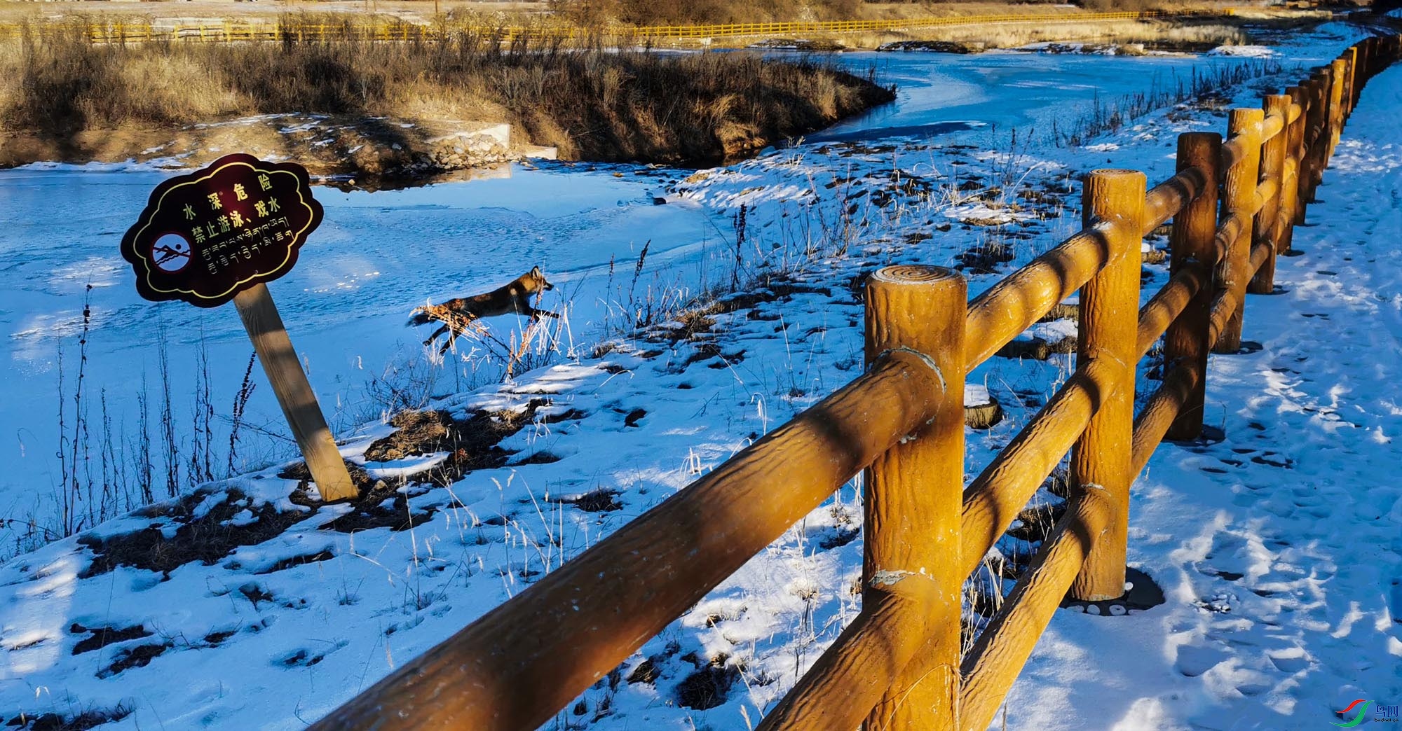 �����ֿ�ʪ�صĳ��