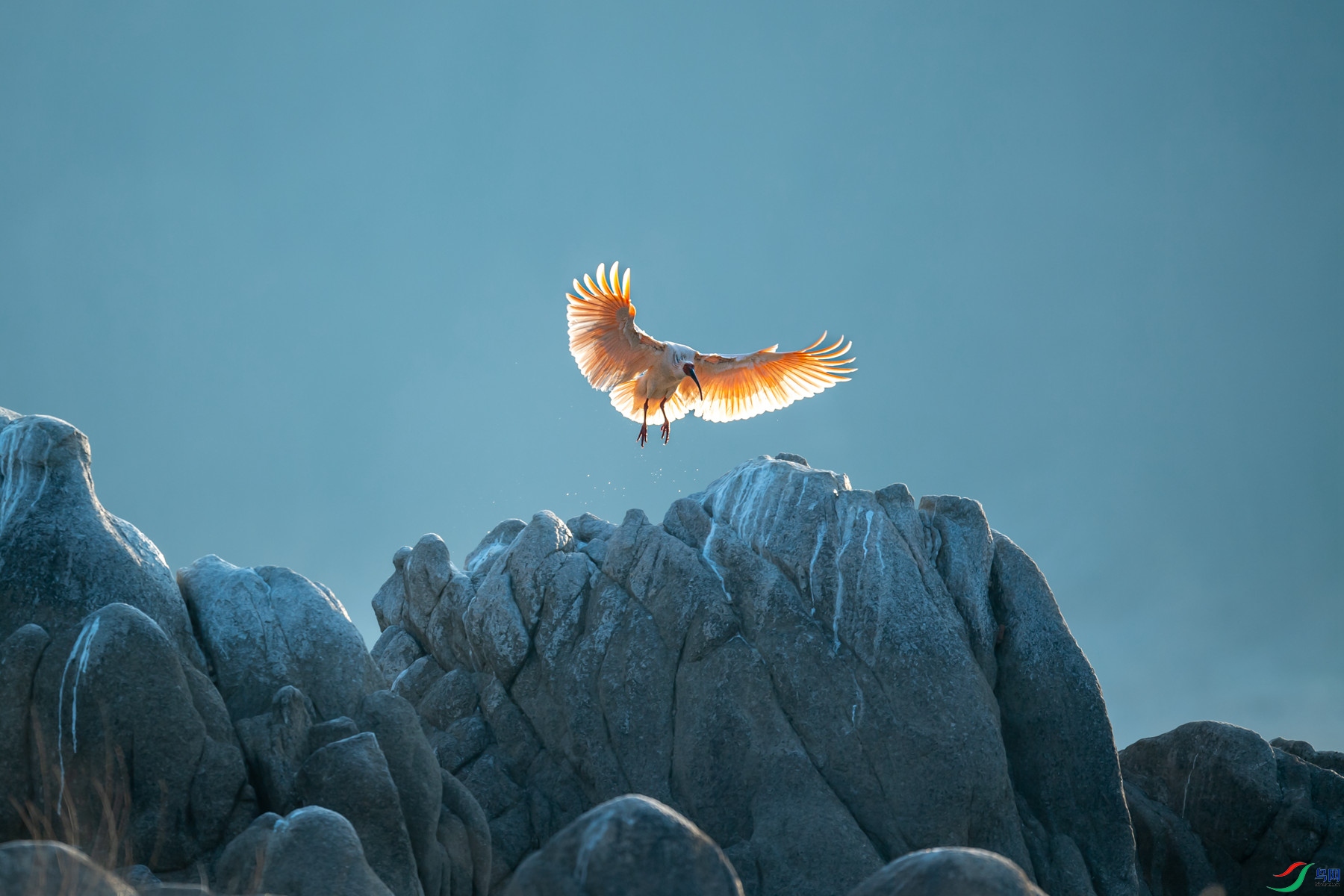 DSC_5102 ����_����.jpg