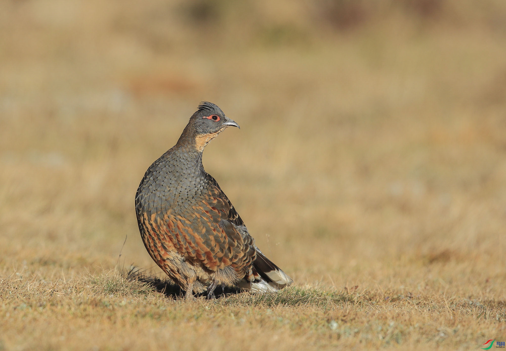 bf30929d1e51a4efd0dbfa83b5722ab- (3).jpg