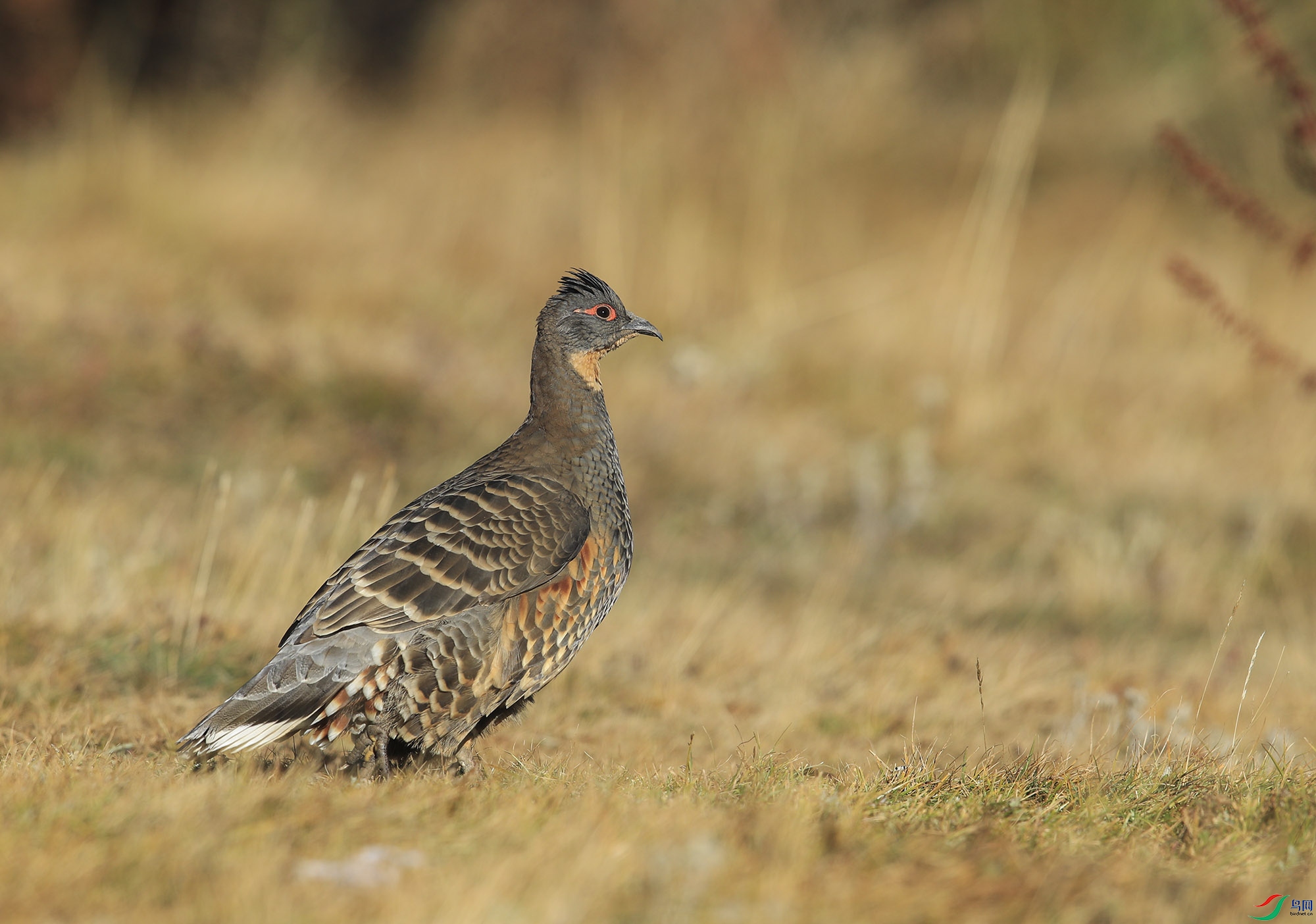 bf30929d1e51a4efd0dbfa83b5722ab- (5).jpg