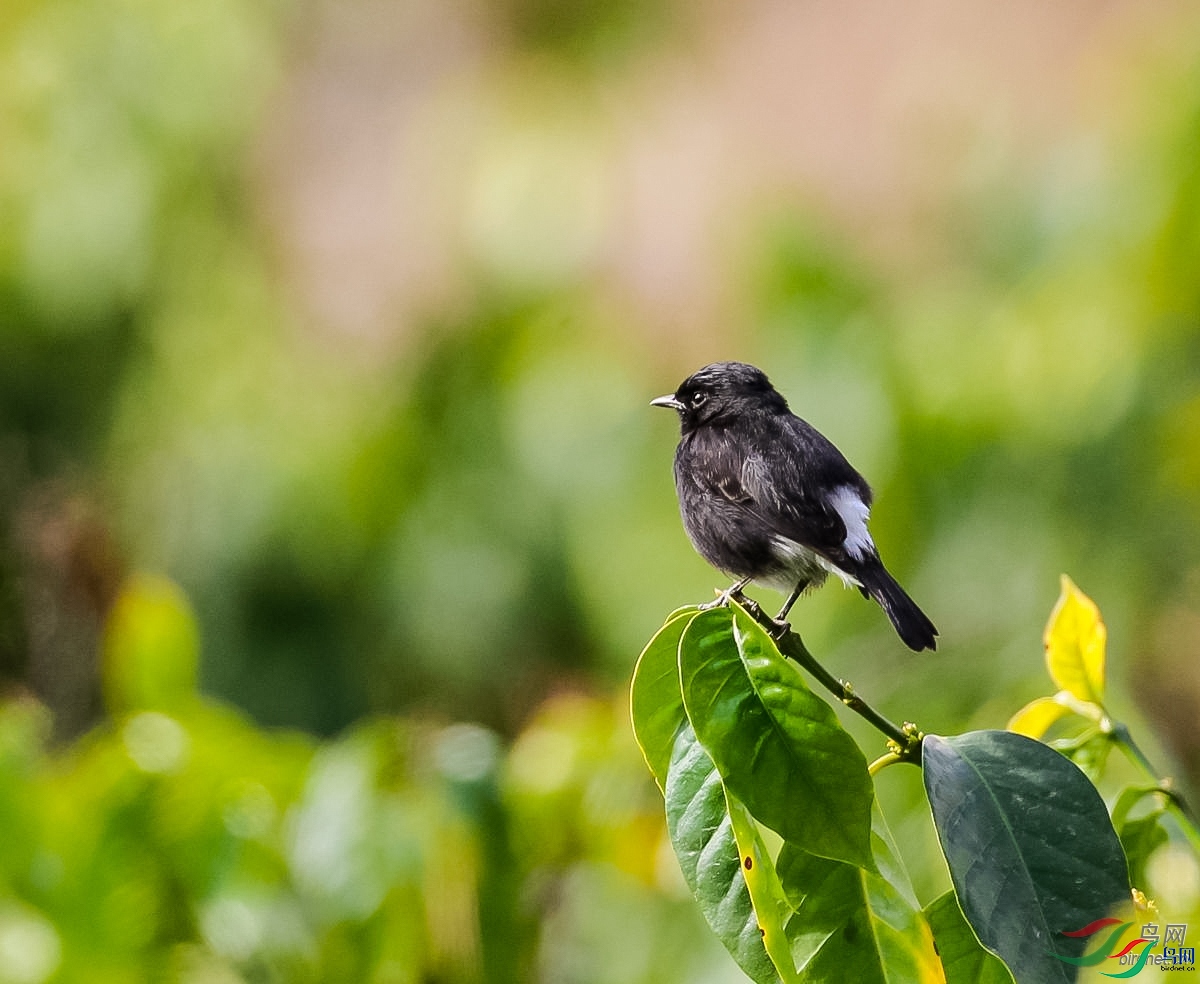 ����  ��ʦ����.jpg