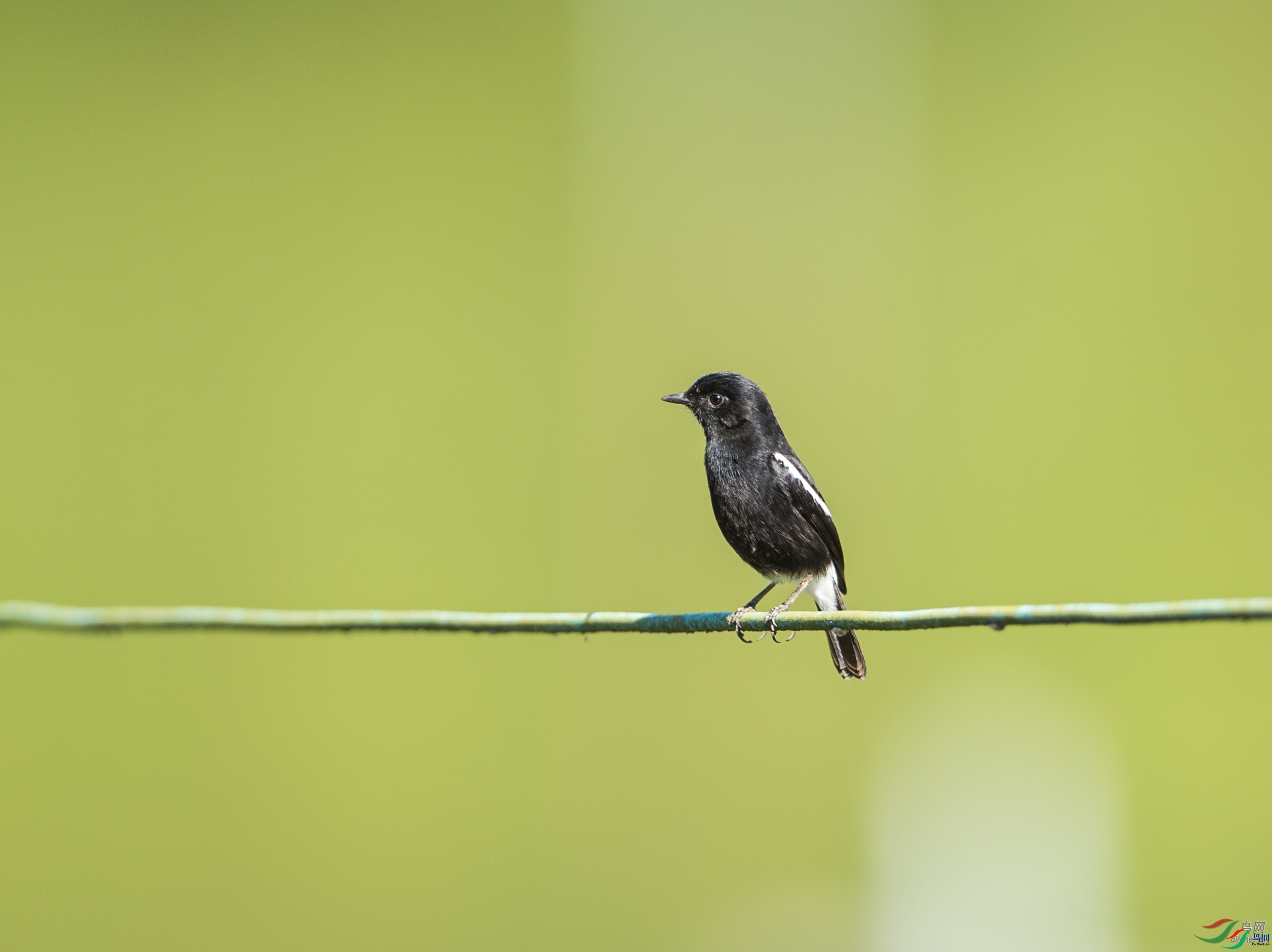 ����  ��ʦ����.jpg