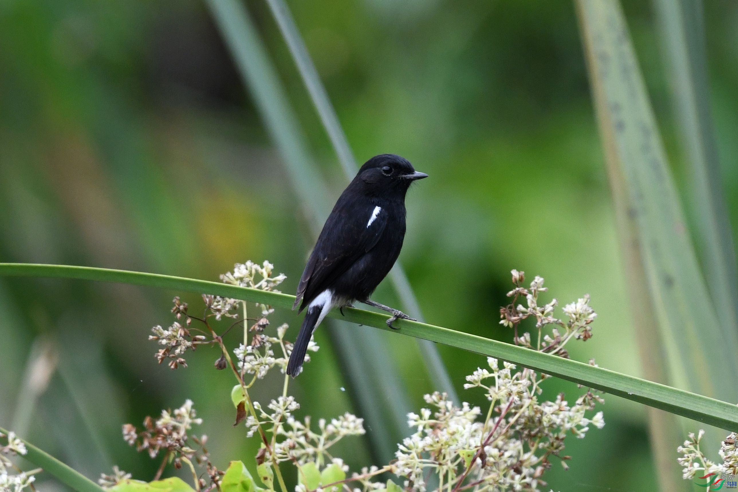 ��������  ��ʦ����.jpg